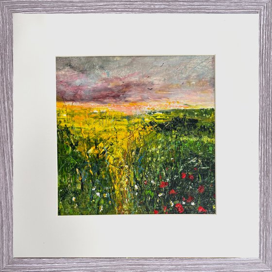 Wildflower meadow framed