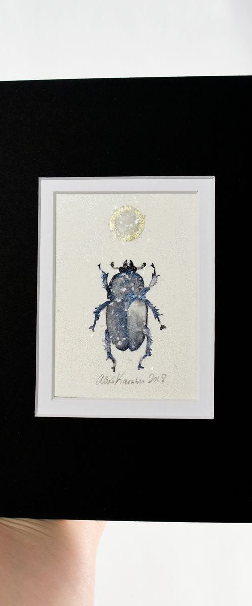 Blue Beetle (Lamprima Adophinae) by Alexa Karabin