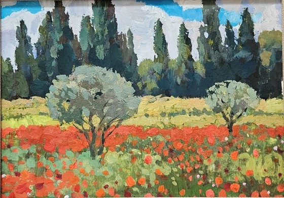 Olive Trees and Poppy Bloom. Landscape