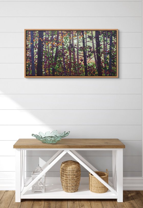 Light Through the Woods