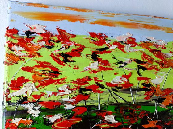 A Meadow Full Of Poppies 1