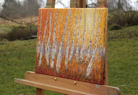 Autumn birch trees