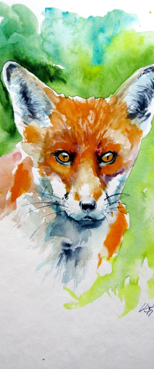 Cute red fox portrait by Kovács Anna Brigitta