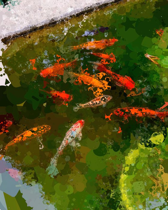 Koi Pond Zen