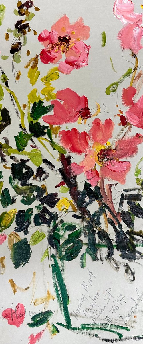 Morning mist. David Austin roses by Lilia Orlova-Holmes