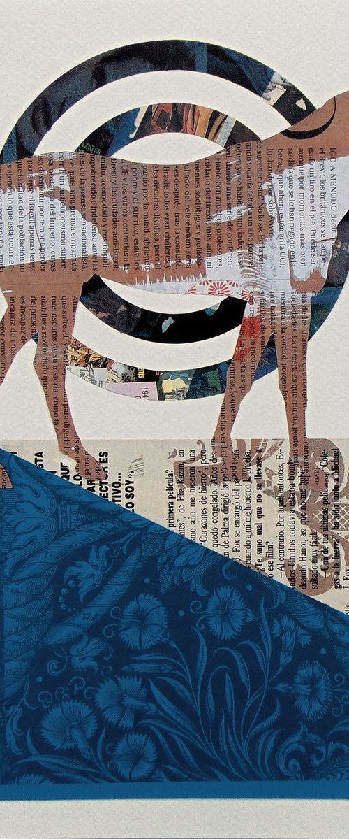 Collage_128_horse by Manel Villalonga