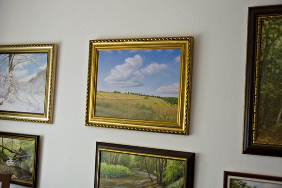 Cloud and Meadow