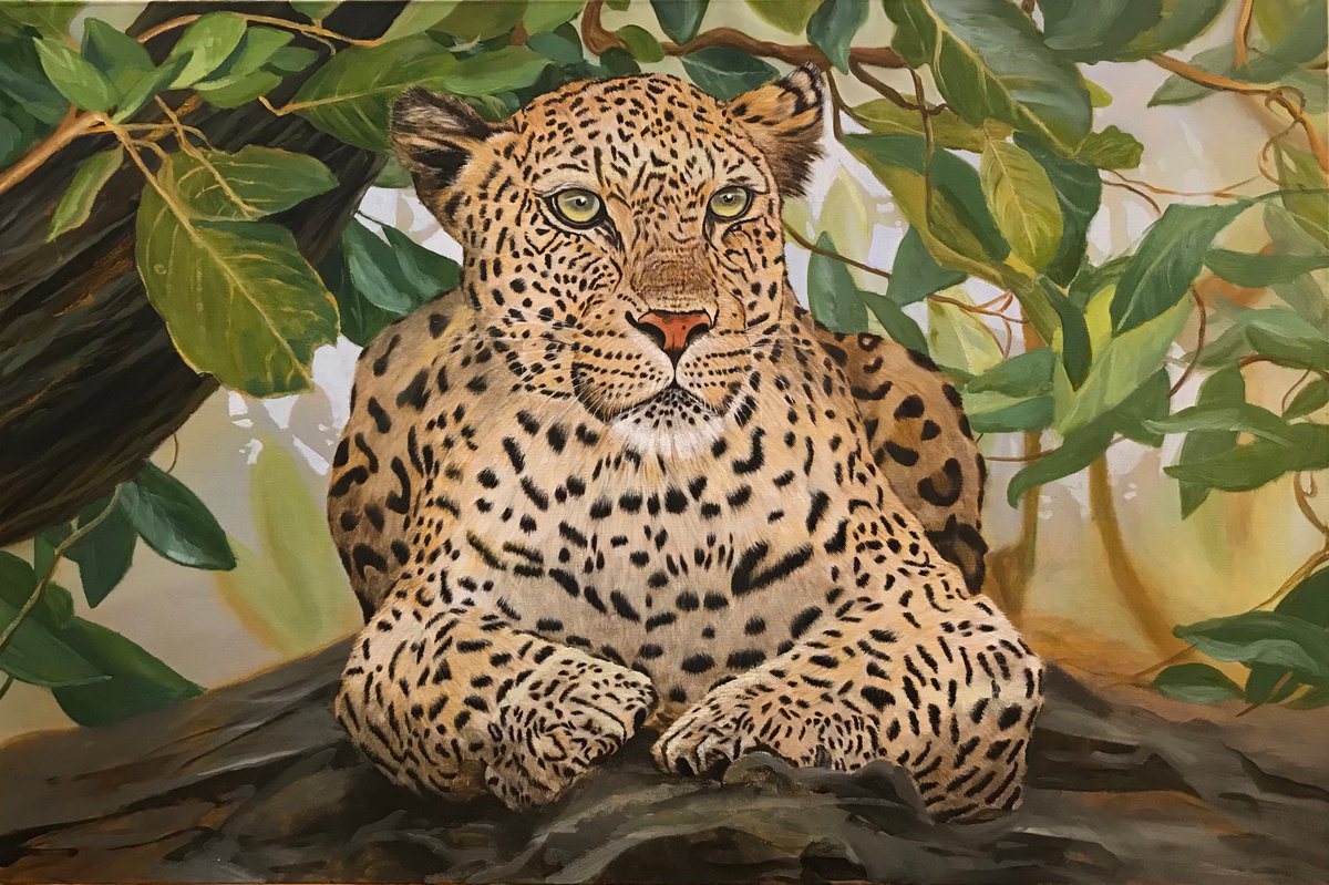 Original oil painting Leopard under the tree - 120x80 cm (2020) by Evgeniya Roslik