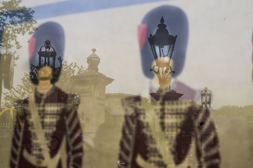Royal Guard Lamps (LIMITED EDITION 2/20) 12" X 8" by Laura Fitzpatrick