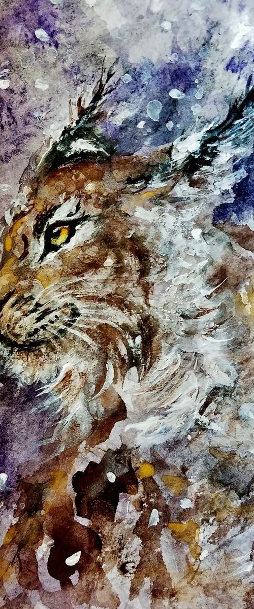 Lynx gaze by Cristina Mihailescu