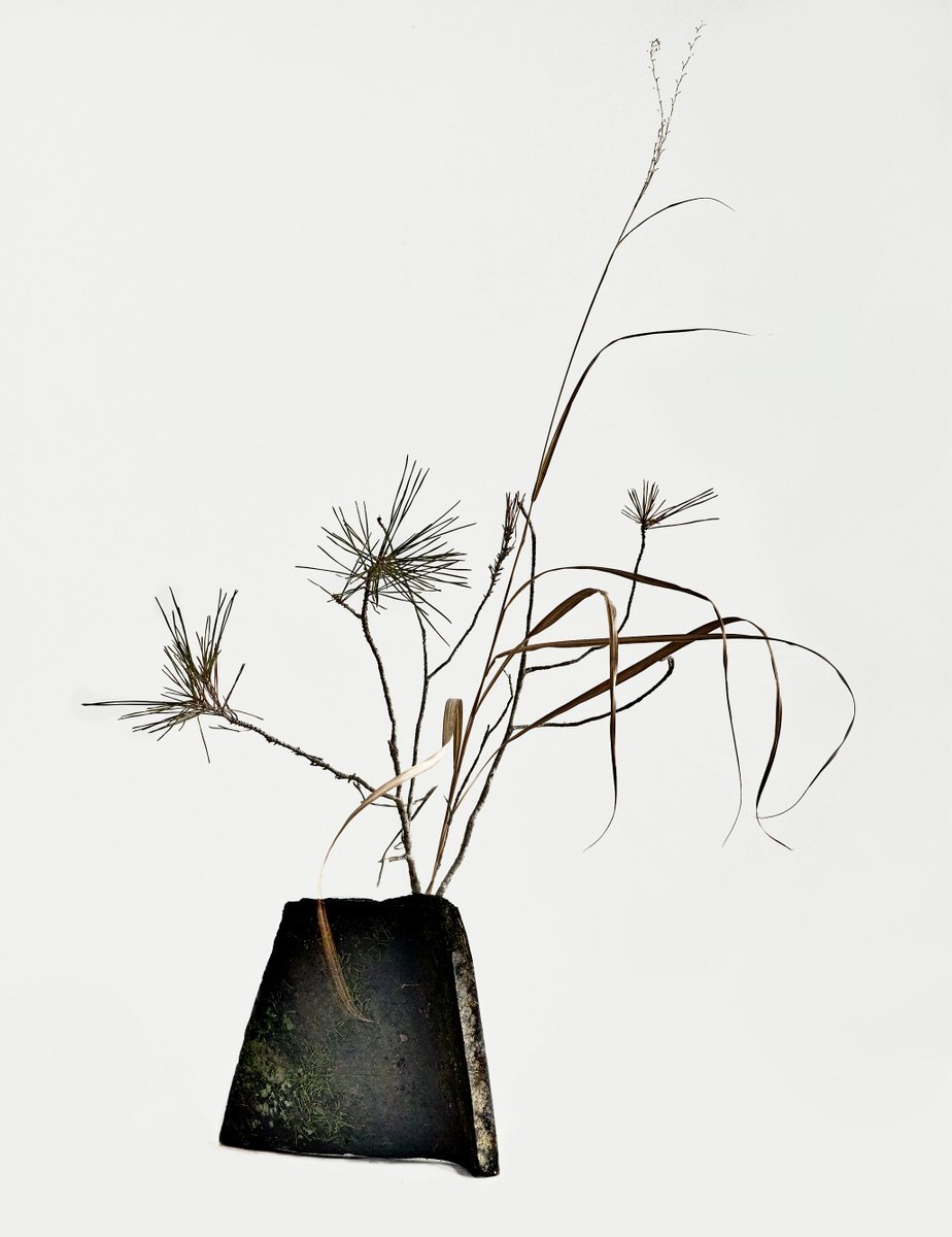 White Light#018-Pine, Silver grass- by Keiichiro Muramatsu