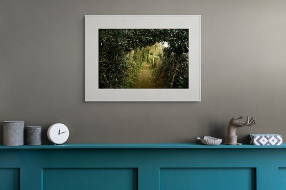 The Path to Hawkhurst