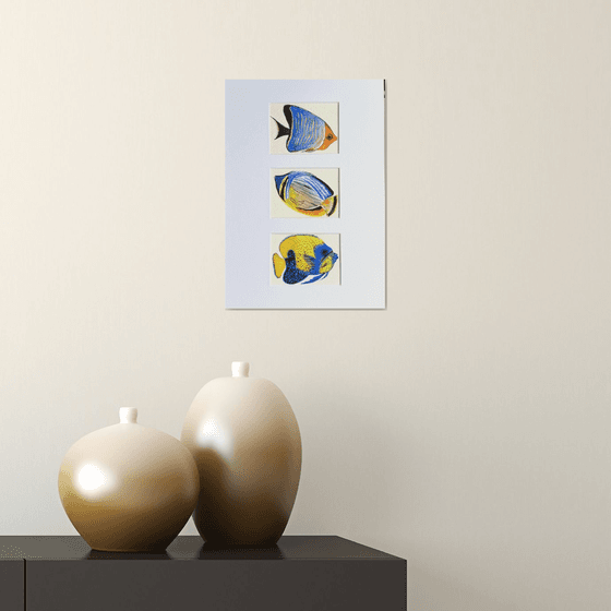 Three Exotic blue-yellow fish