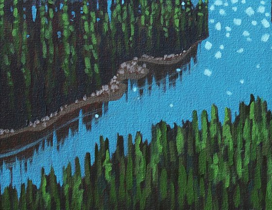 Life in the Boreal