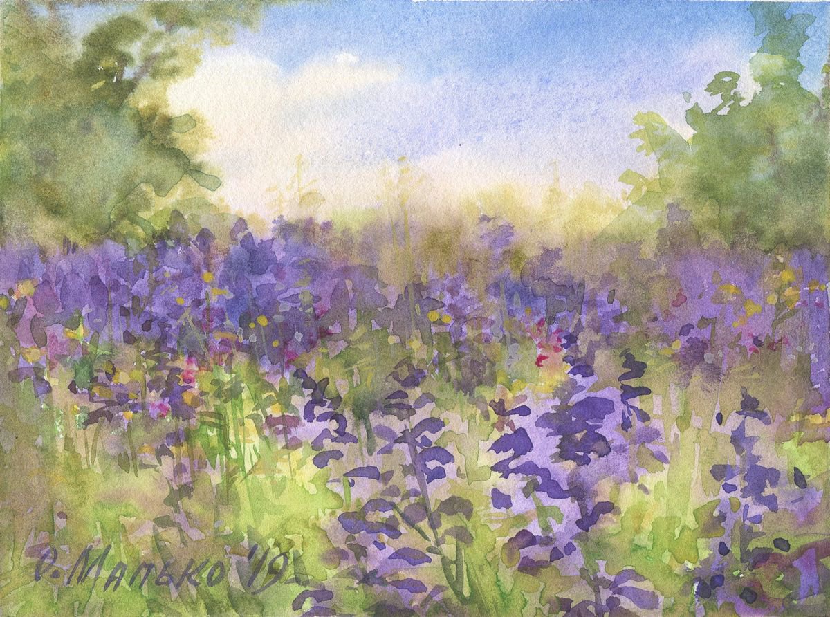 Summer flowering. Blue / Watercolor landscape with sage flowers Meadow sketch by Olha Malko