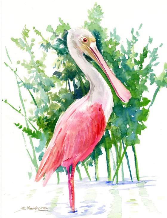 Roseate Spoonbill