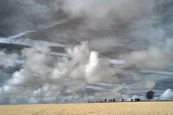 Big Sky, Bury Hill