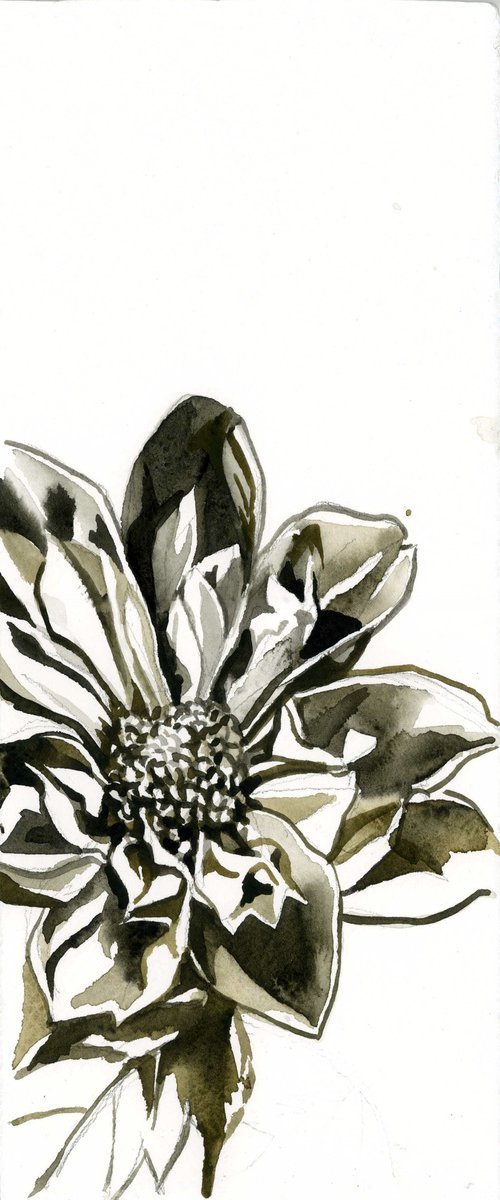 watercolor dahlia drawing by Alfred  Ng