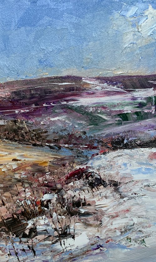 Winter Moor Danby by Andrew Moodie