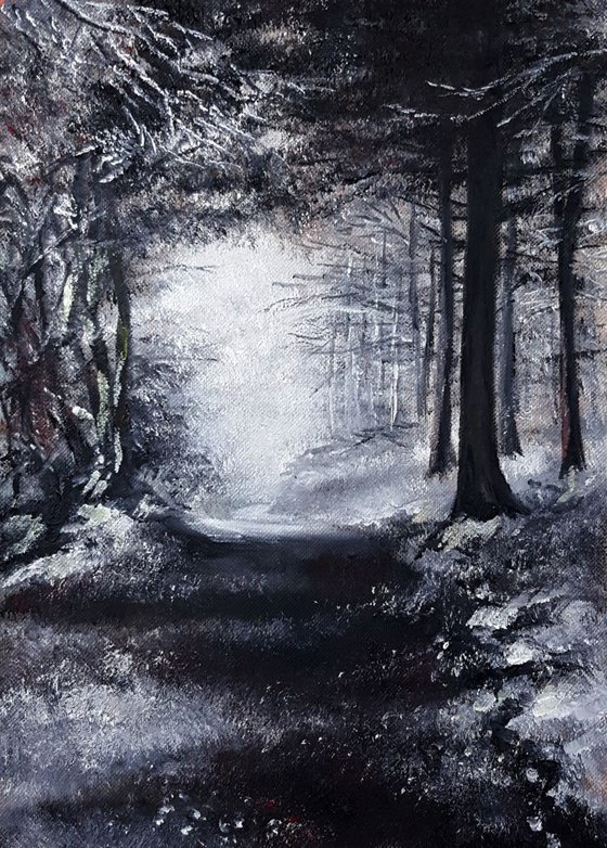 Winter Path