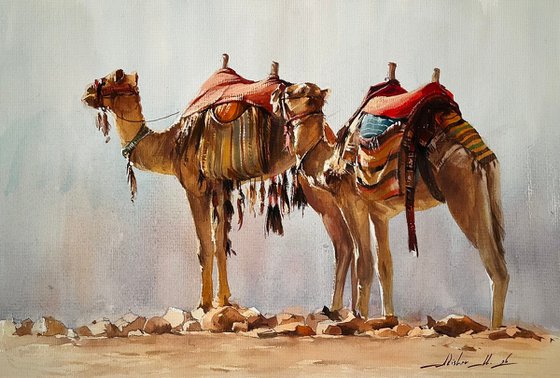 "Nomadic Spirit: Dromedaries of the Desert"