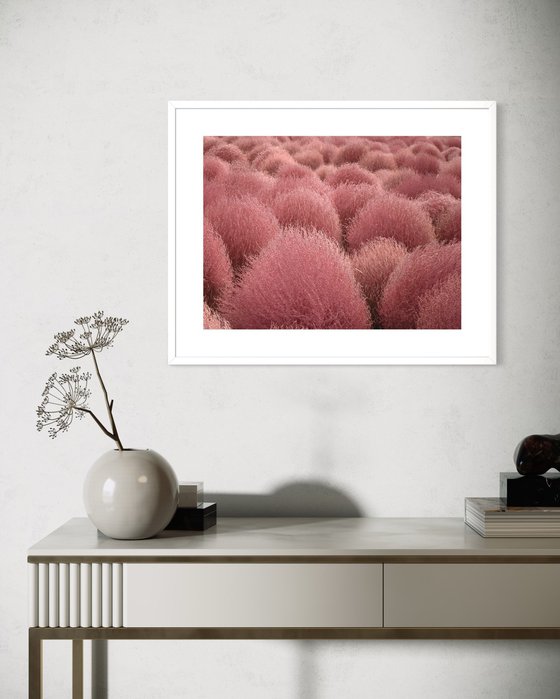 RED TUFTS