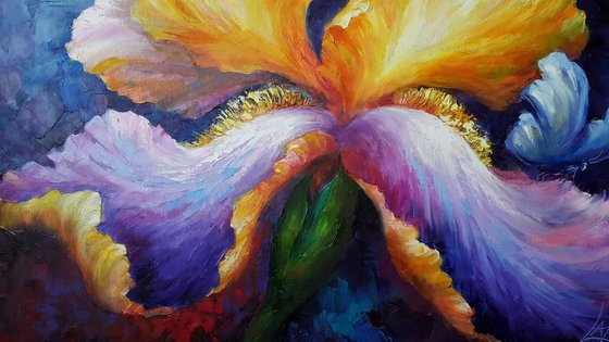Oil flowers Painting " Iris " , impasto original art 70x60cm