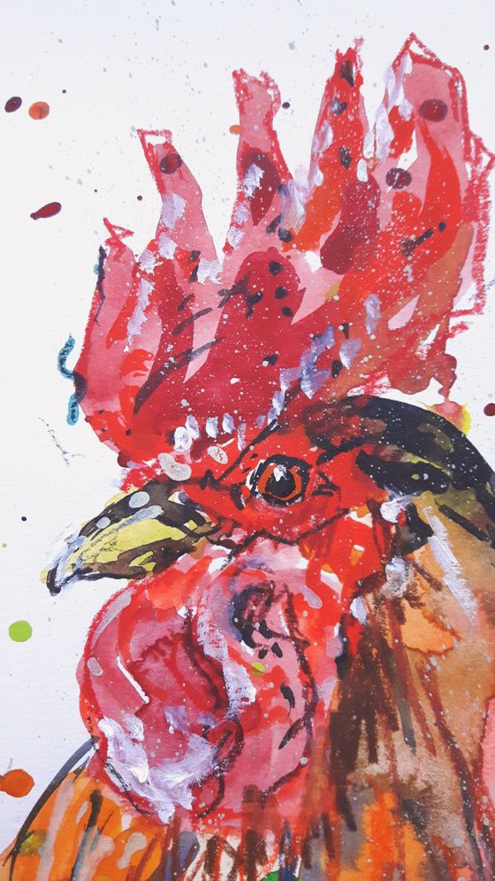 "Colourful Rooster"