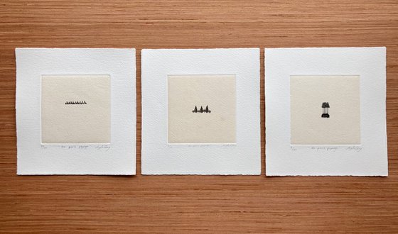 “ UN PETIT PAYSAGE ” #02 , #01 , #05