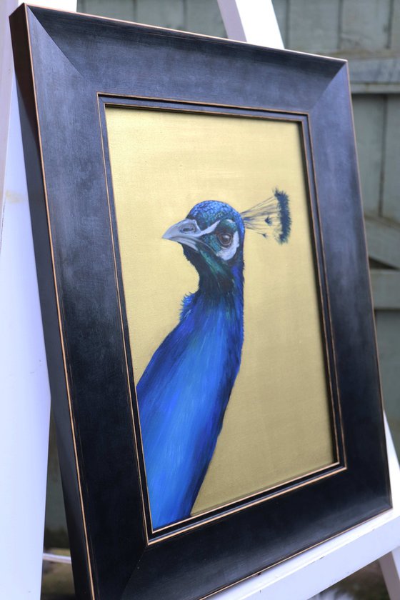 Peacock Portrait in Electric Blue