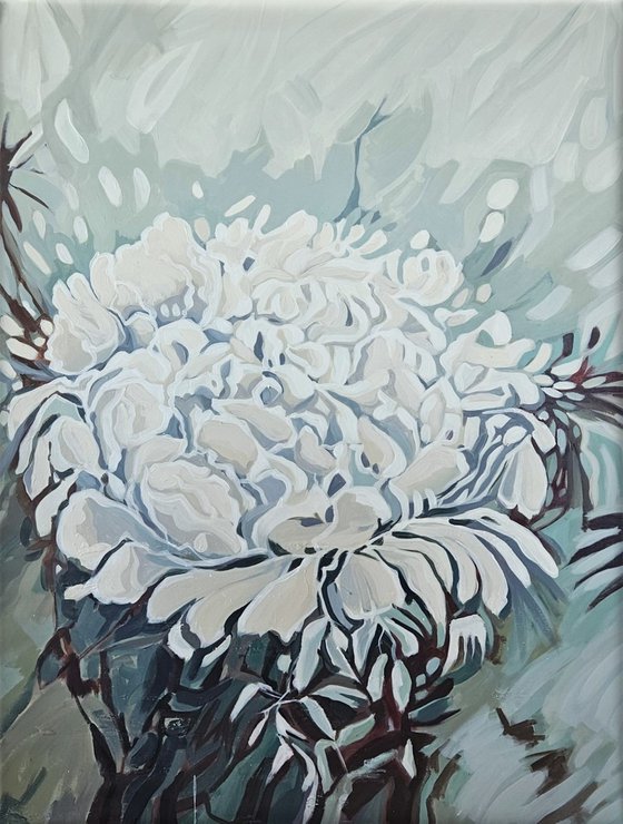 Peonies fter rain #2