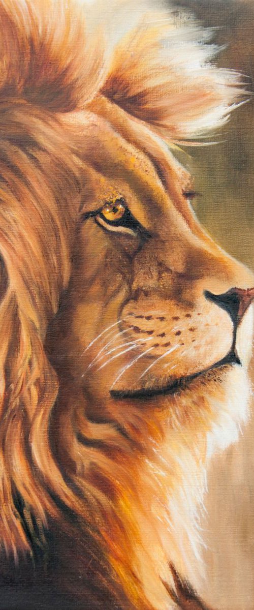 The King by Norma Beatriz Zaro