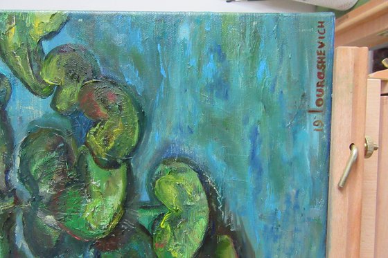 Water Lilies in a Pond