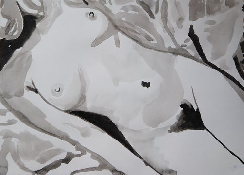 Nude 338 / 28.5 x 22 cm by Alexandra Djokic
