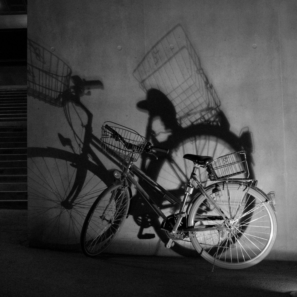 Bicycle by V Sebastian