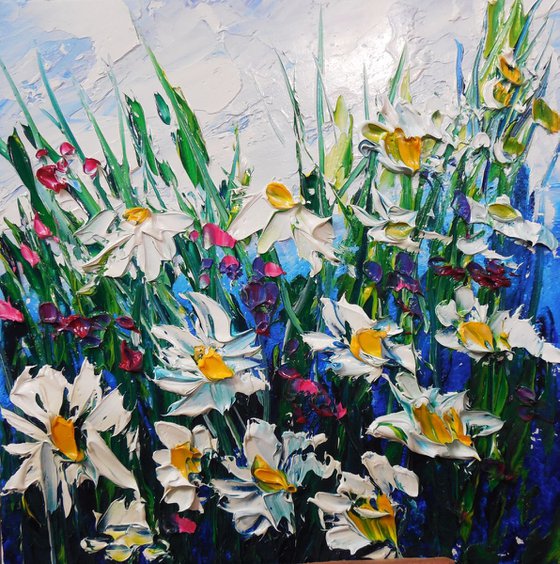 Daisies at the meadow