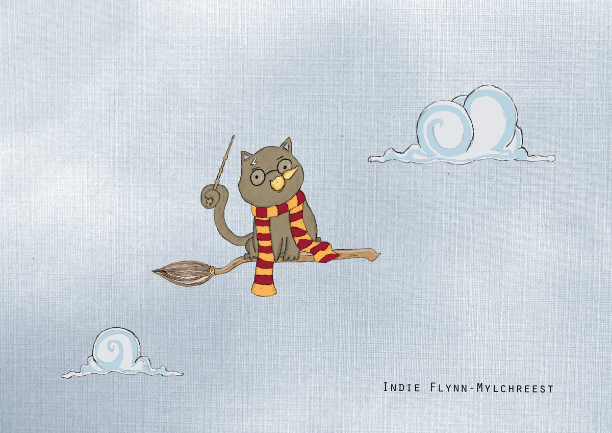 Harry Catter Quidditch by Indie Flynn-Mylchreest