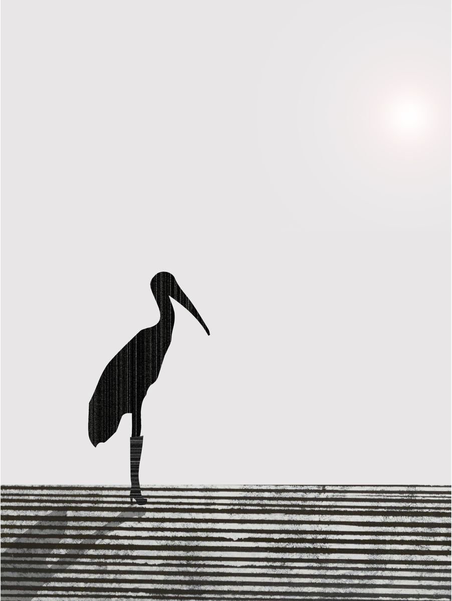 Stork by Rennie Pilgrem