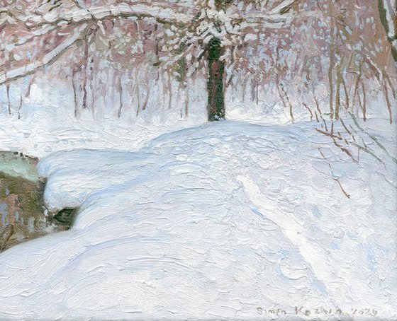 At the Ponomarka River in January