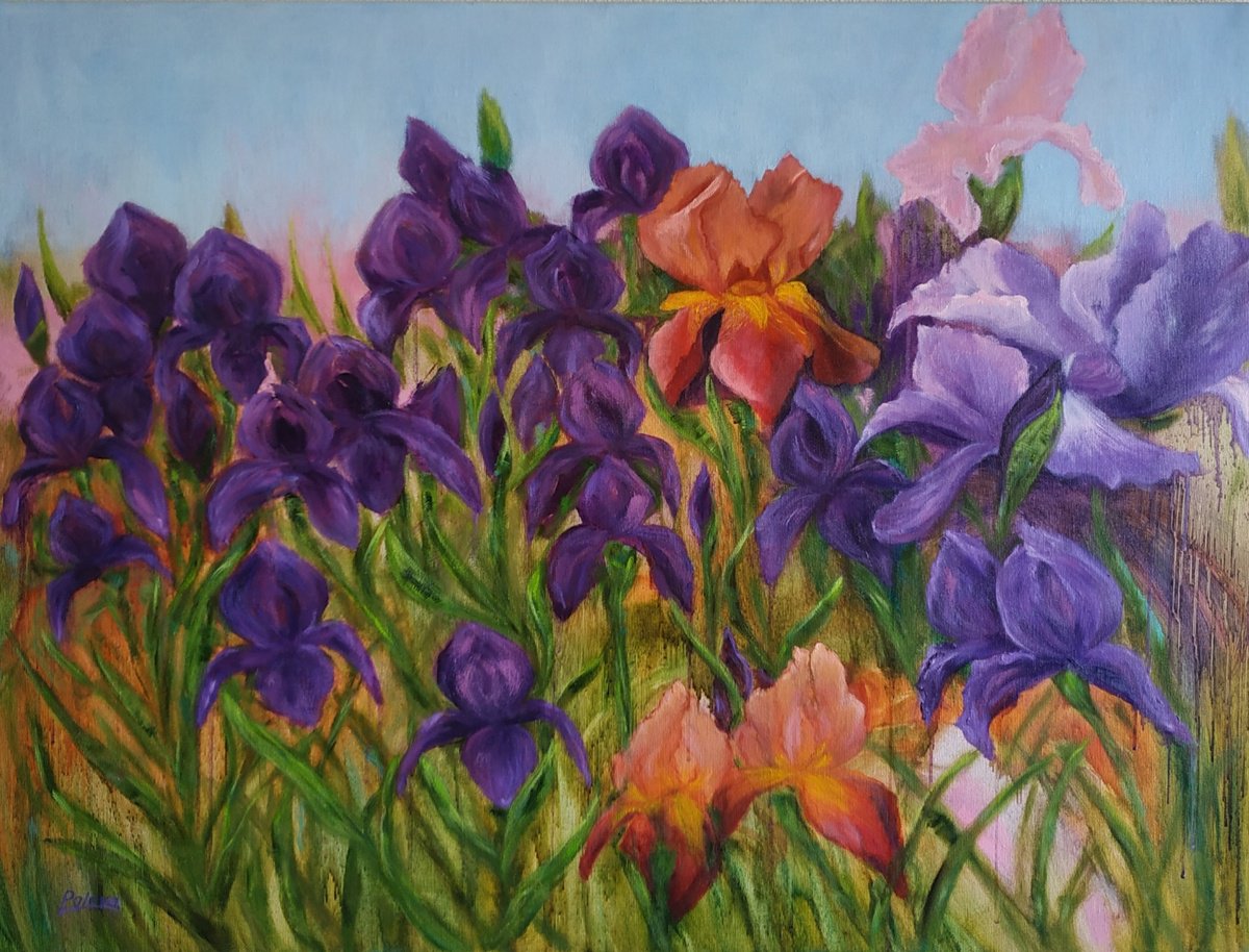 Irises by Olena Poleva