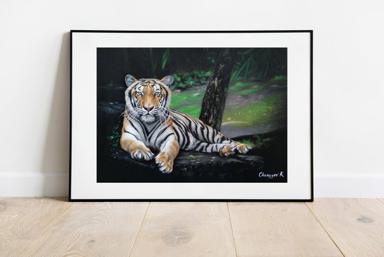 Bengal tiger while resting