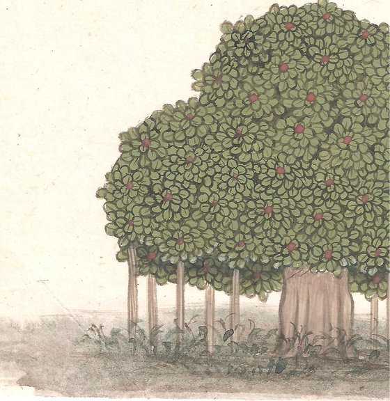 Banyan Tree | Indian Miniature