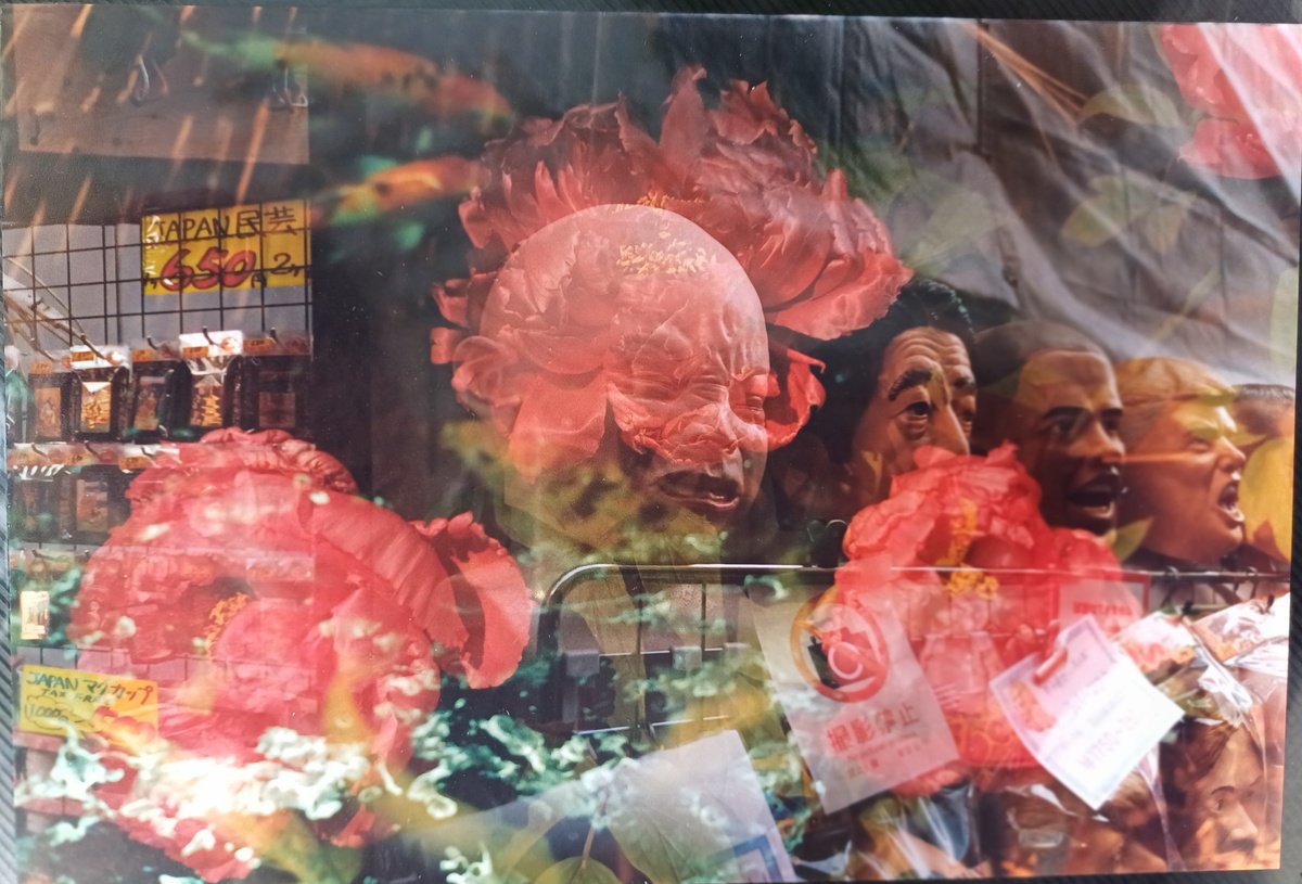 Surrealistic Botanical Photograph By Willow Moon, 6 X 9", Jp 6: Mask Off, Original Artwork