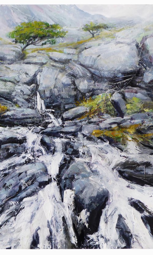 Falls, Langstrath, Cumbria by John Sharp