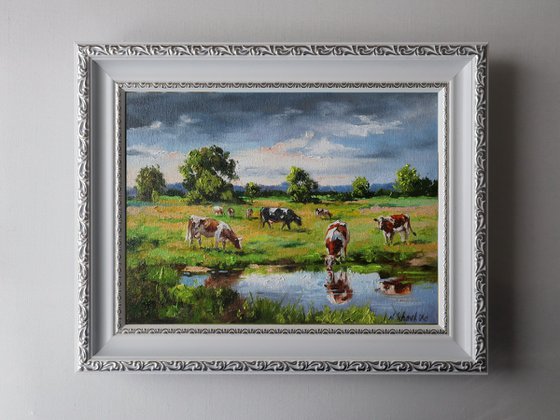 Grazing Cows