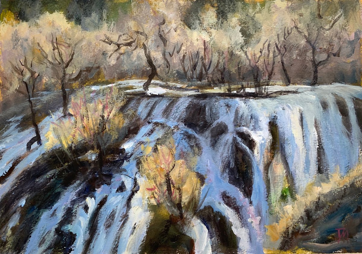 Winter wonderland - waterfall by Shelly Du