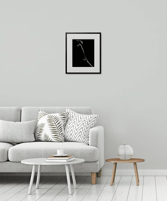 Body Shapel Part 2 - Framed