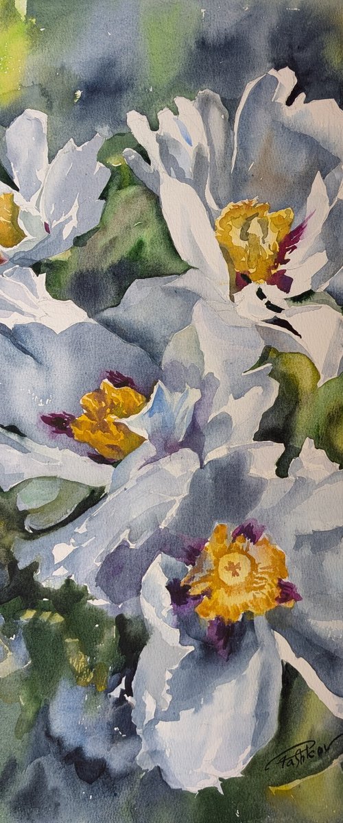 WHITE PEONIES #10 by Yurii Pashkov