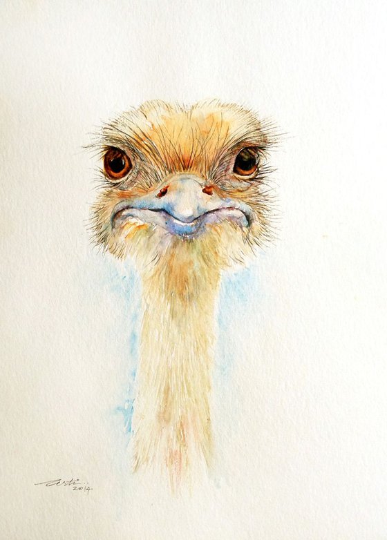 The Ostrich Look Over