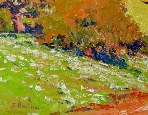 Rolling Green HIlls. California